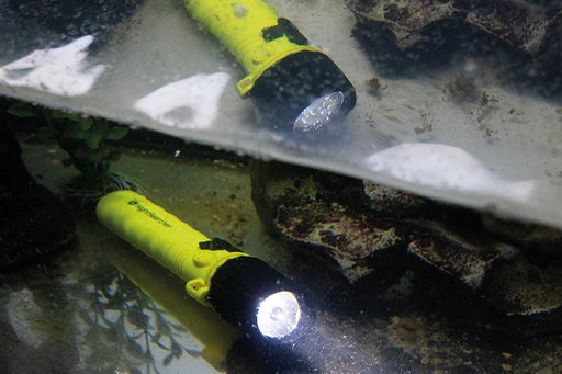 SIGMA ATEX 4AA Intrinsically Safe Flashlight